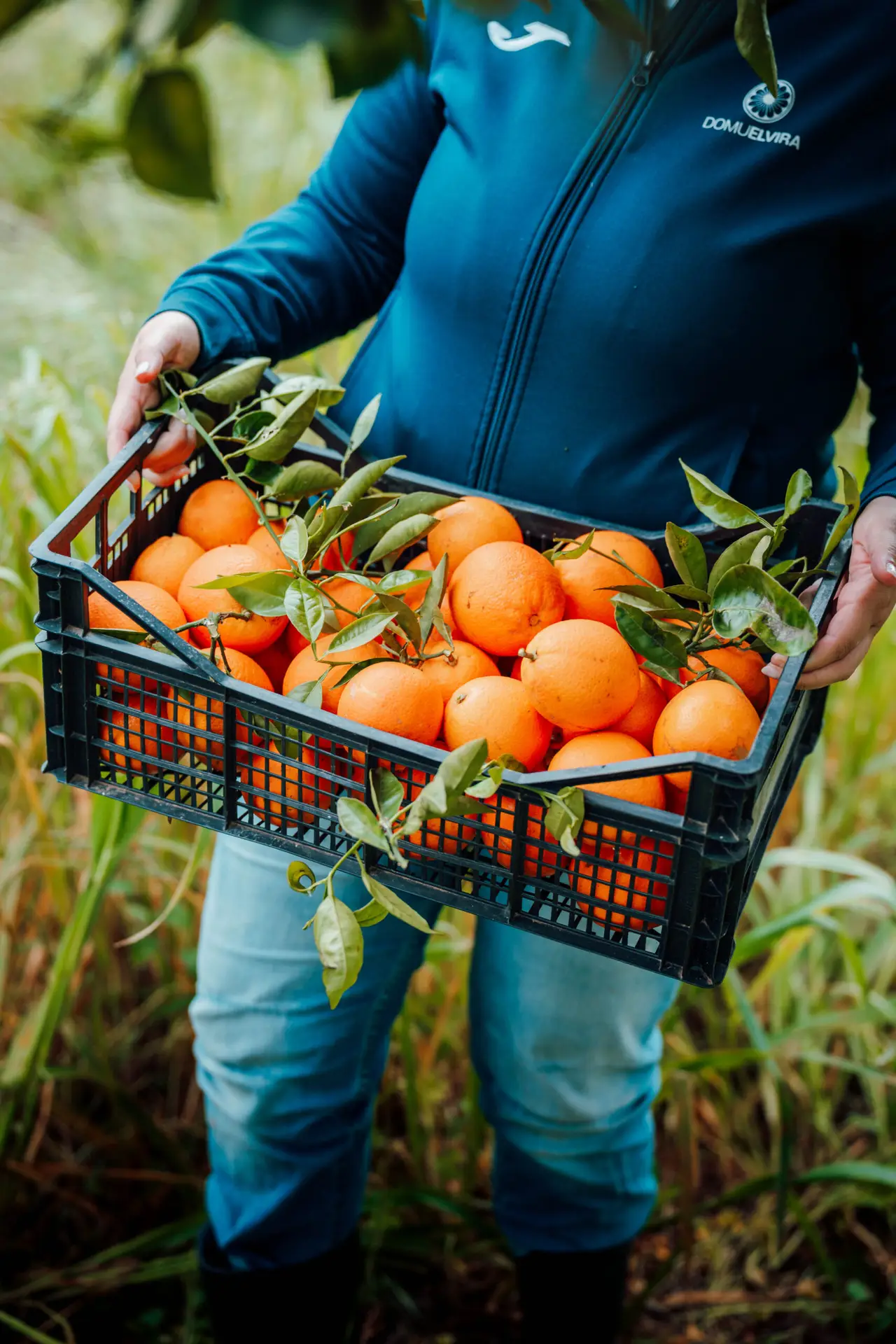 foto pubblicità attività foto lavorative federico carboni11