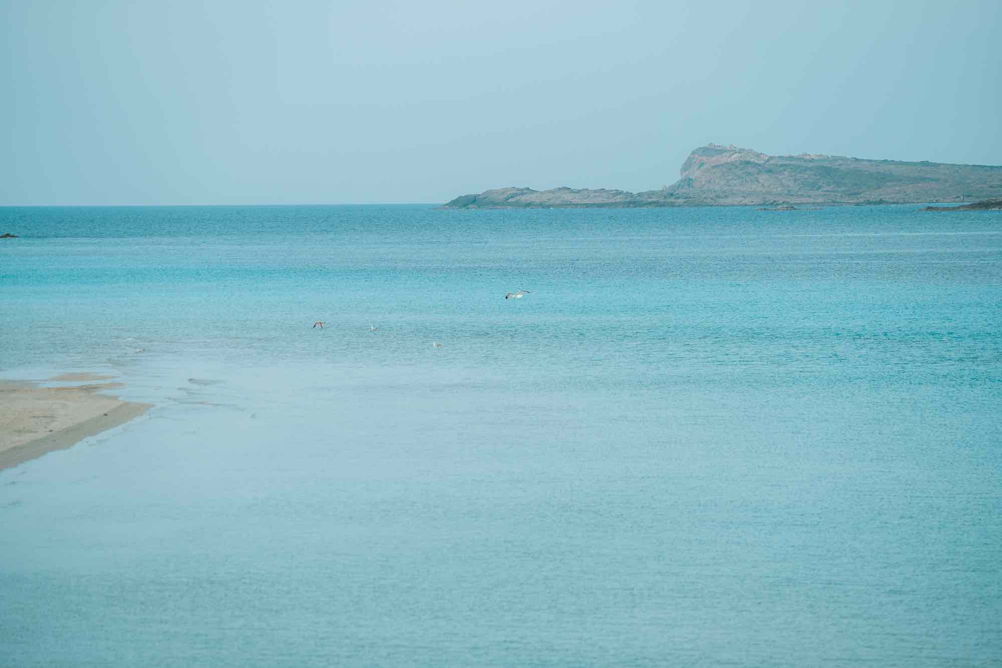 Mare turchese de La Pelosa in Sardegna